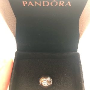 Pandora Charm